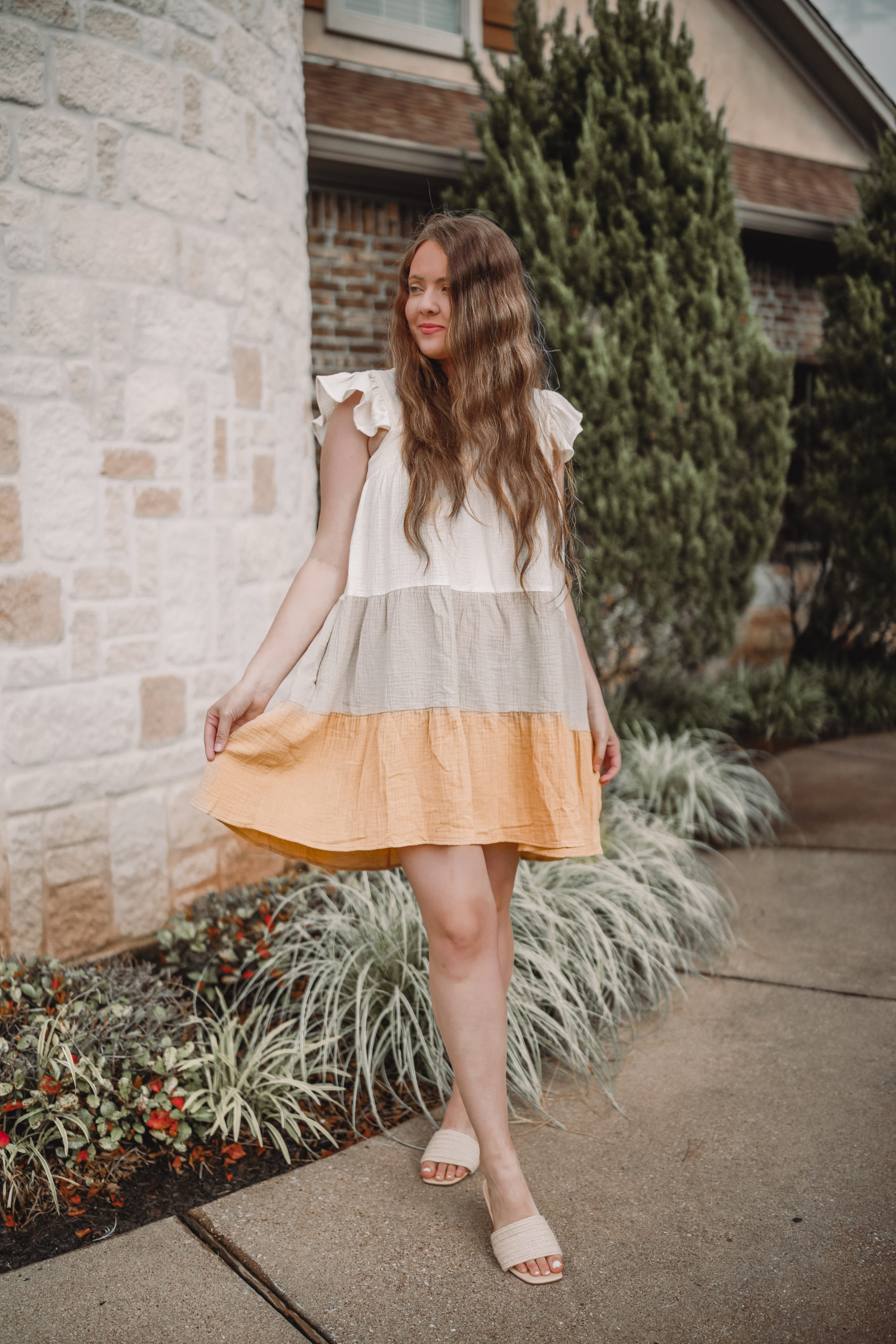 Flirty Ruffle Sleeve Dress