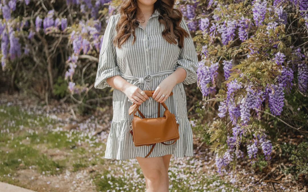 Stripes Among Wisteria