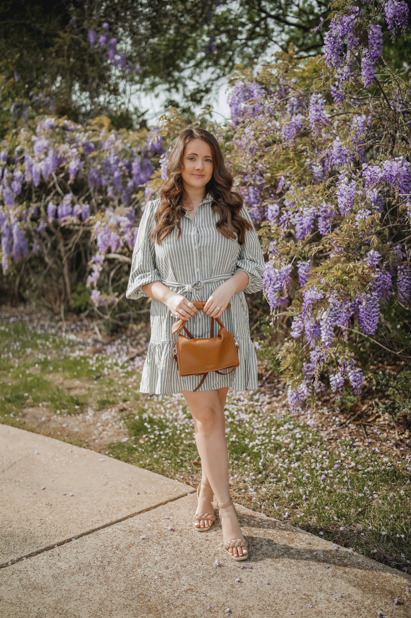 Stripes Among Wisteria